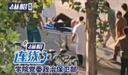 河南学校爆料新闻事件,揭开校园安全与教育乱象的真相